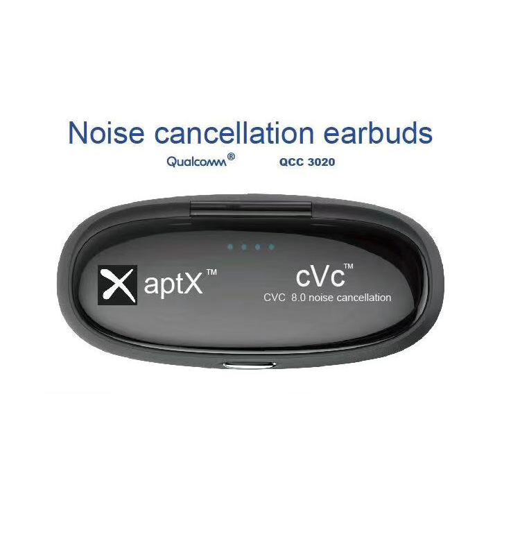 tws earphones.jpg